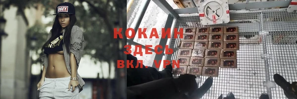 индика Остров
