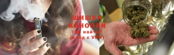 индика Остров