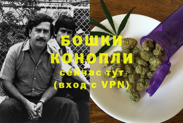 индика Остров