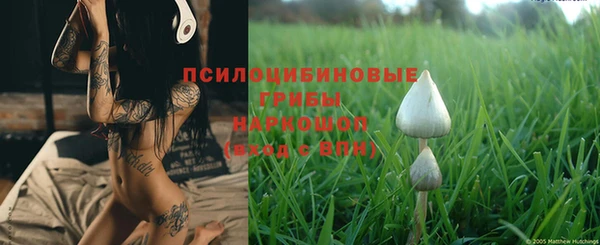 таблы Железногорск-Илимский