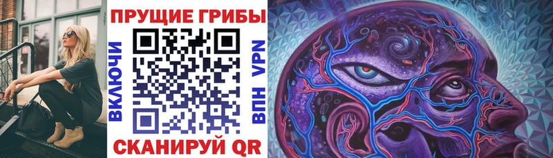 Галлюциногенные грибы ЛСД  MEGA зеркало  Котово  цена наркотик 